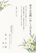 白い水仙柄デザインの寒中見舞いテンプレート
