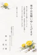 福寿草の花柄デザインの寒中見舞いテンプレート