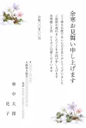 余寒見舞い・雪割草の花柄の寒中見舞いテンプレート