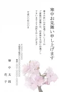 桜柄デザインの寒中見舞いテンプレート